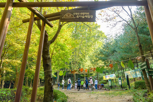 지난해 개최된 신정산 우렁바위 유아숲체험원 가족축제 모습