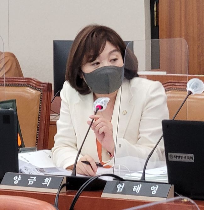 양금희 국회의원(대구 북구 갑, 산업통상자원중소벤처기업위원회)