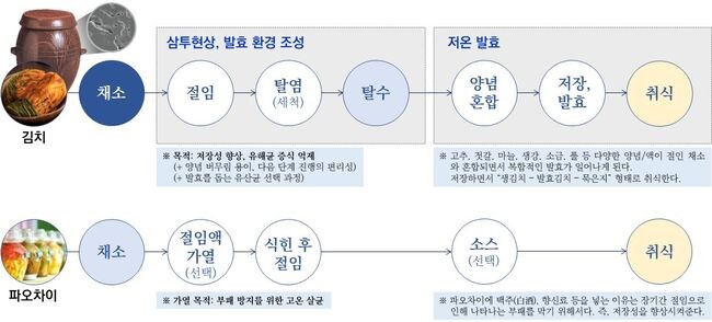 김치와 파오차이의 제조과정 비교(세계김치연구소 자료 중 일부)
