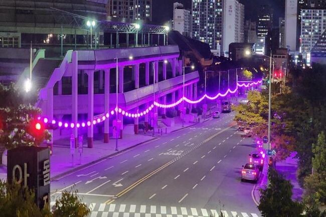보라로드 (제공=부산시)