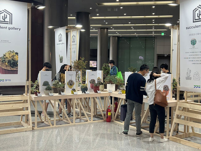 선인장페스티벌 관람