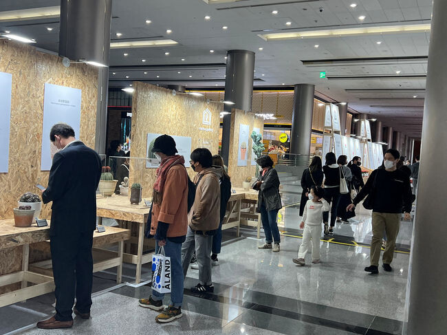 선인장페스티벌 관람