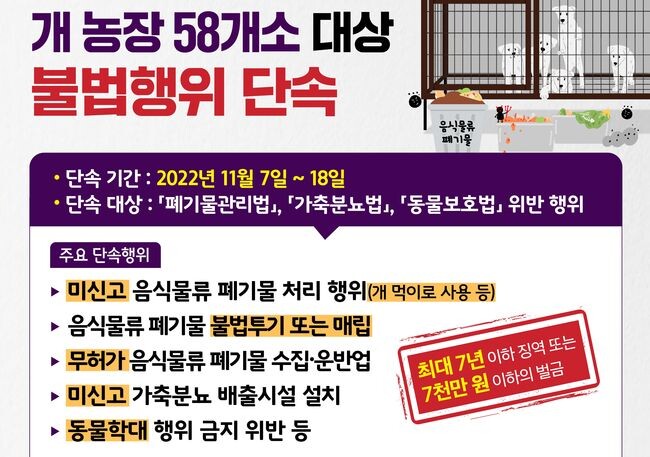 경기도 민생특별사법경찰단은 11월 7일부터 18일까지 음식물류 폐기물로 먹이를 주는 개 농장 58개소를 대상으로 불법행위를 집중 단속한다. 그래픽=경기도 제공