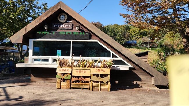 광교산 등산안내소 앞에 비치된 지팡이&nbsp;