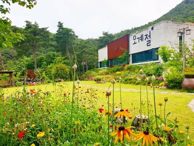 &ldquo;&lsquo;오계절정원&rsquo;울산시 제4호 민간정원 등록됐다&rdquo;