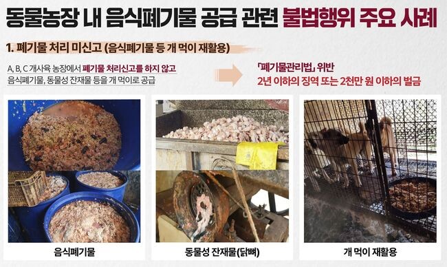 경기도 특별사법경찰단은 경기 북부 음식폐기물 공급 동물농장, 닭 식육 포장처리업체 65개소를 집중 단속한 결과 폐기물관리법 등을 위반한 14개소의 불법행위 19건을 적발했다. (그래픽=경기도청 제공)
