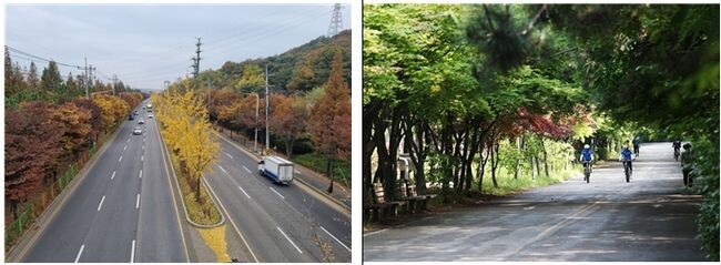 (왼쪽) 남동구 소래로 전경&nbsp; &nbsp;(오른쪽) 남동구 소래로 근경&nbsp;