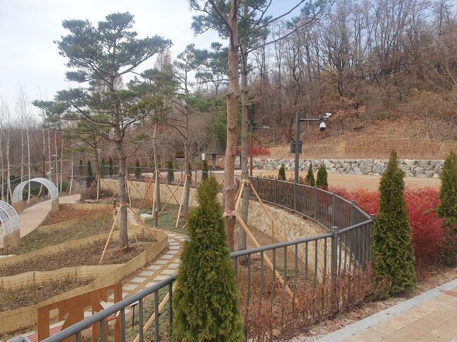 낙성대 숲속 공원 전경