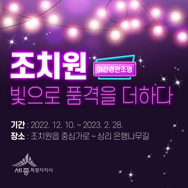 조치원점등행사&nbsp;