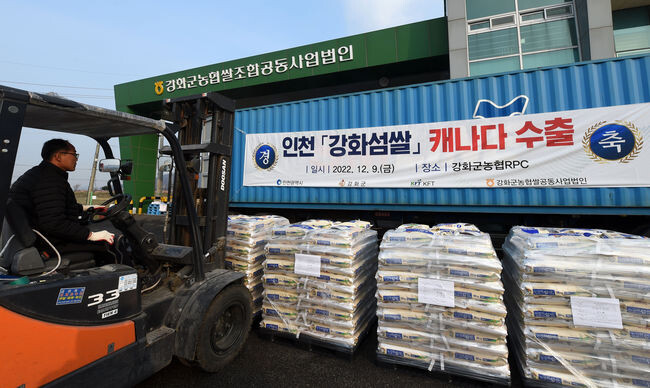 9일 강화농협쌀조합공동사업법인에서 캐나다로 수출되는 강화섬 쌀(20톤)이 컨테이너에 옮겨지고 있다.&nbsp;