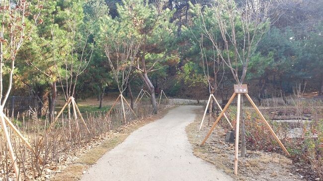 숙지공원 훼손지가 친환경 생태슾으로 '변신'