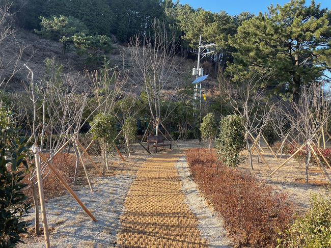 통영시, 미세먼지 차단숲 조성 완료 