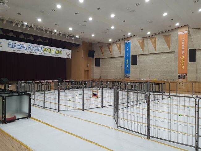 2022년 설 반려견쉼터&nbsp;