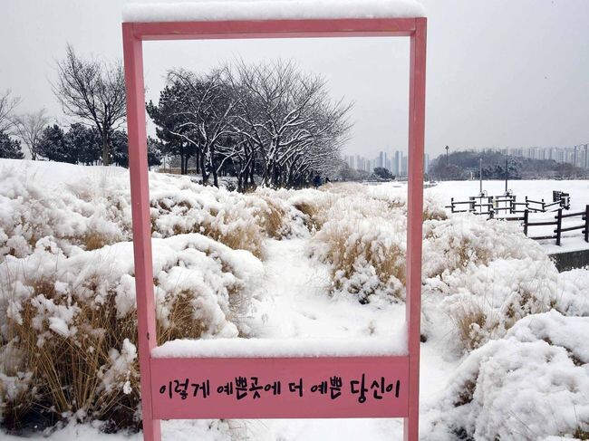 k-시흥시 갯골생태공원에 펼쳐진 설경