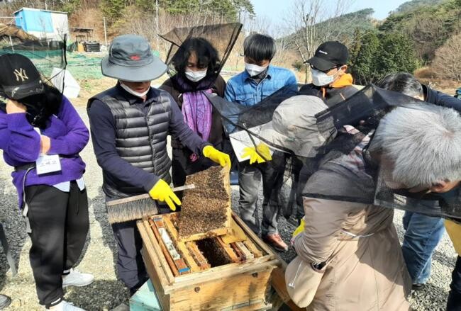 &nbsp;2022년 산업곤충 양봉과정 교육 사진