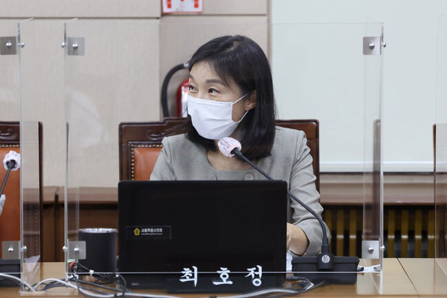 최호정(국민의힘, 서초4) 시의원(사진=최호정 의원 블로그)