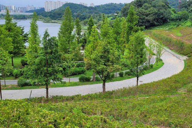 광교호수공원 철쭉동산 (사진제공=수원시청)