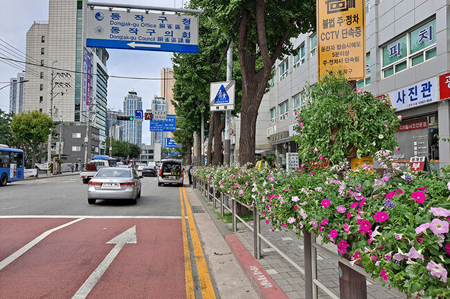 지난 봄 장승배기로에 조성한 걸이화분 사진(사진=동작구청 사진)