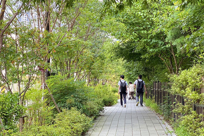 성동구 무학중,여고 통학로 녹화 사례(사진=서울시청 제공)