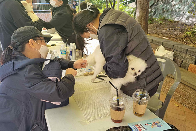 찾아가는 동물병원에서 주민이 반려동물 간이검진, 위생미용을 받고 있다.(사진=관악구청 제공)