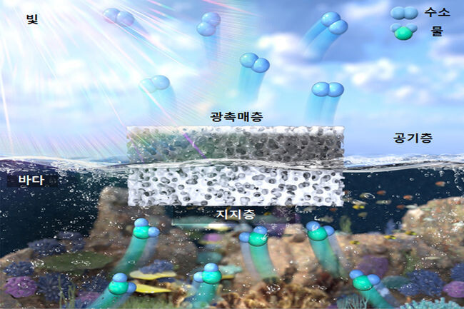 연구진이 개발한 부유식 광촉매 플랫폼 구조(사진=과학기술정보통신부 제공)&nbsp;