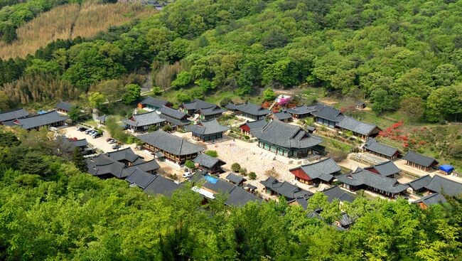 문화재 관람료 무료 - 송광사&nbsp;