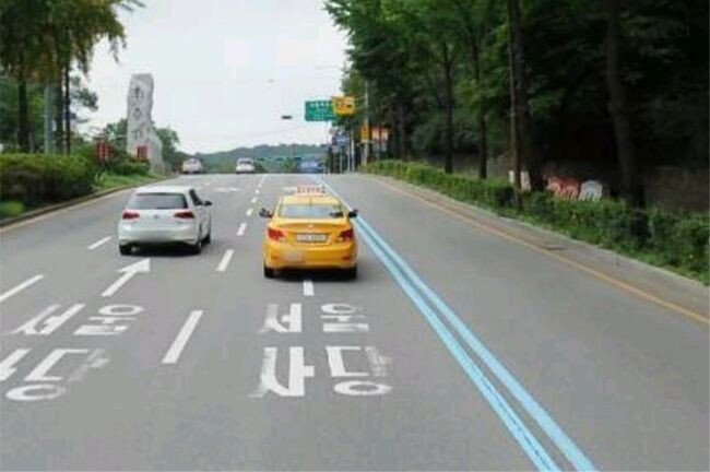 버스전용차로 확대 운영 구간 현장사진