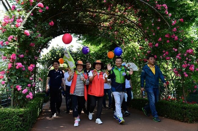 장미꽃이 만발한 중랑천 장미터널(2019 서울장미축제)