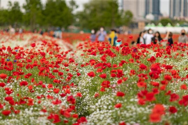 2022년 축제 자료 사진
