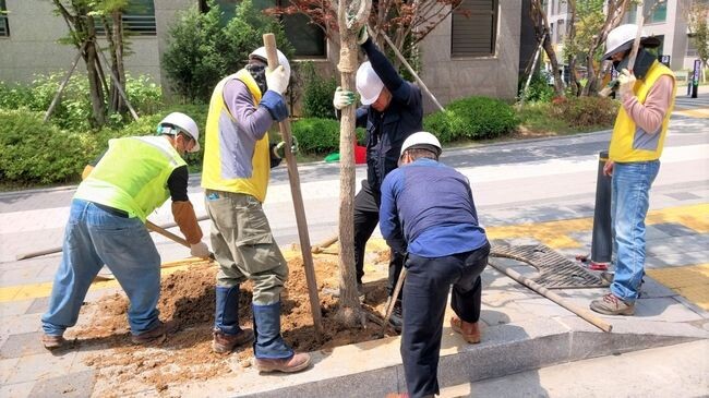 전도목 준비&nbsp;