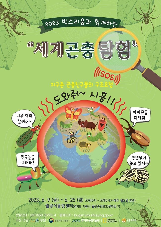 세계 곤충 탐험 포스터&nbsp;