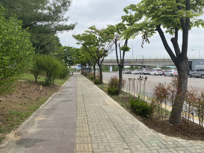 수원시 곳곳에 명품 가로숲길 생겼다.&nbsp;