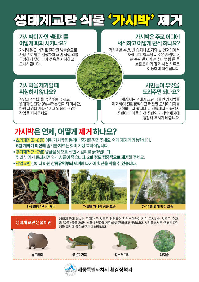 생태계교란식물(가시박)포스터
