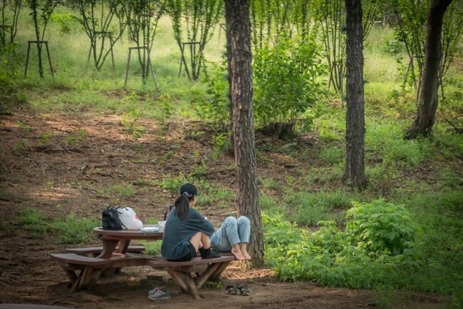 물향기수목원