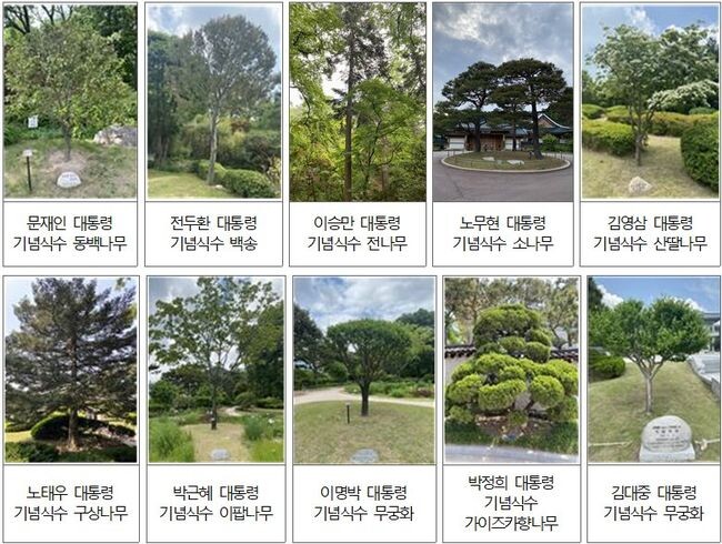 수목 탐방 프로그램 : 대통령의 나무들