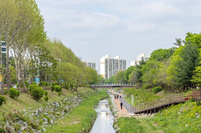 과천_양재천변을 산책하는 시민들 모습