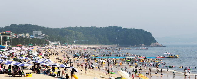 대천해수욕장 인파
