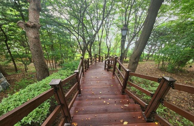 용인특례시가 정비공사를 마친 상하근린공원.