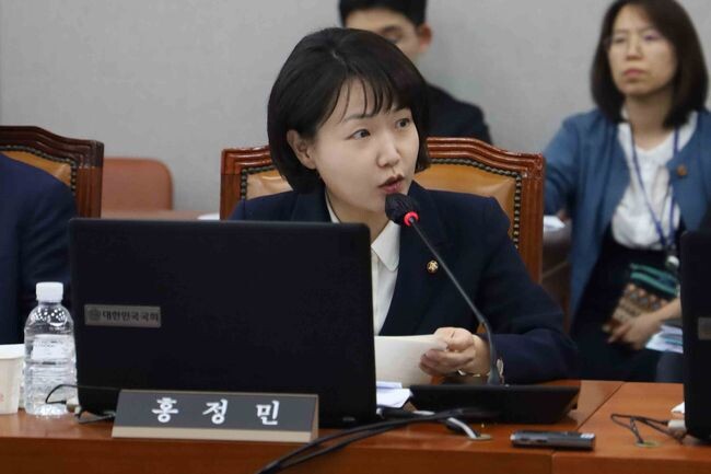 더불어민주당 홍정민 의원