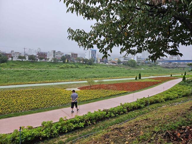 무심천, 꽃과 자연이 어우러지는 청주 대표 휴식처로 변모