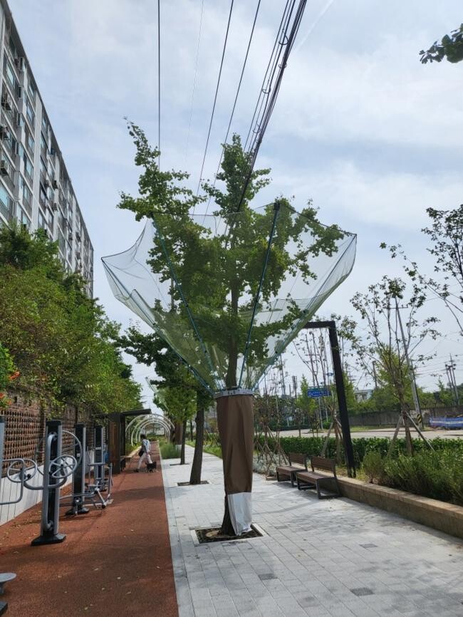 중구 연안부두로 열매수거망 설치