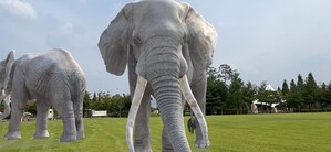 thumbimg