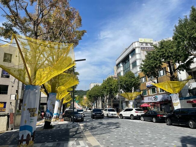 은행나무 가로수 낙과수집기가 설치된 모습&nbsp;