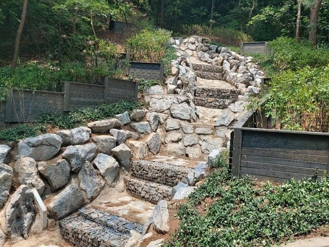 산림재해 예방공사를 완료한 궁도장 계류
