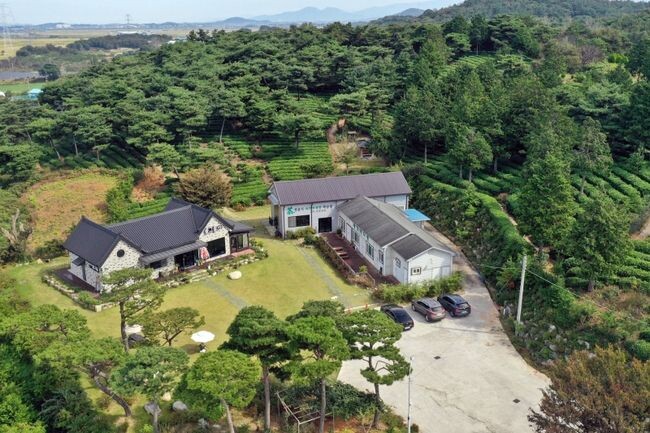 전북도 민간정원으로 신규 지정된 정읍 황토현다원