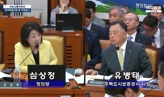 정의당 심상정 의원이 19일 진행된 주택도시보증공사(이하 HUG) 국정감사에서 질의를 하고 있다.