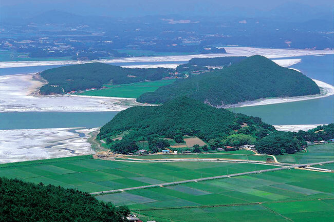 보령호 빙도 사진 