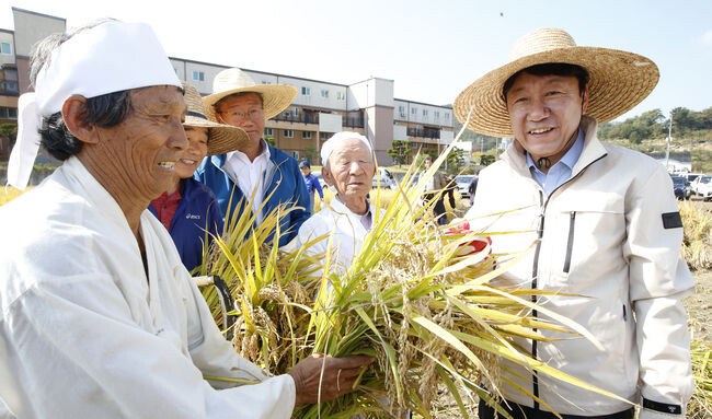 전통 벼베기 재현 행사 