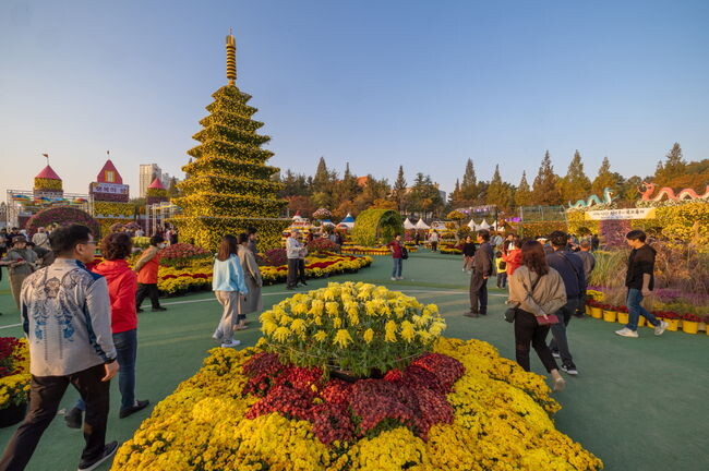 <span contenteditable="true">익산, 천만송이 국화축제·도시혁신산업박람회 '쌍끌이 흥행'