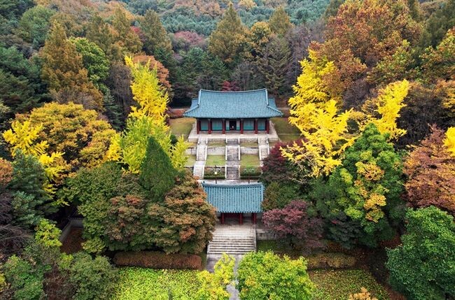 챗GPT가 추천한 관악구 낙성대공원 내 안국사 주변 단풍 풍경